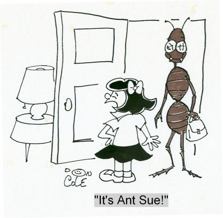 Evolution: Ant Sue